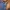 JEANS DISNI photo 3