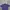 Crocodile Casual Formal Shirt Pria Purple White
