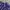 Crocodile Casual Formal shirt Pria purple white photo 3