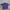 Crocodile Casual Formal shirt Pria purple white photo 2