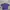 Crocodile Casual Formal Shirt Pria Purple White