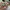 Spongebob figur dkk photo 2