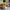 Spongebob figur dkk photo 3