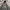 PULL OVER HOODIE VINTAGE EZEKIEL SKATEBOARDING photo 2