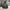 PULL OVER HOODIE VINTAGE EZEKIEL SKATEBOARDING photo 1