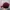 Streetwear Minimalist Hat Pria burgundy photo 5