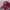 Streetwear Minimalist Hat Pria burgundy photo 2