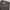 Carhartt long pants grey 0074-76 Charcoal photo 3