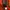 A Bathing Ape Streetwear T-shirt Pria red photo 4