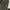 Baggy pante darkgreen photo 3