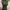 Longdress pressbody knit photo 2