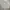 Crewnwck guess photo 1