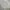 Crewnwck Guess
