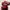 Puma Speed Cat Leather Original Red Cherry photo 8