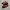 Puma Speed Cat Leather Original Red Cherry photo 1