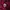 Dior Luxury Sweatshirt Pria burgundy photo 3