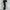 Dress Press Body GRL photo 1