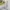 Casual Sweatshirt Pria gray photo 5