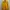 Jaket kuning tebal photo 1