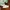 Sepatu Fred Perry Baseline Trainer White Green Sneakers B122 photo 4