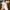 Sepatu Fred Perry Baseline Trainer White Green Sneakers B122 photo 1