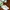 Sepatu Fred Perry Baseline Trainer White Green Sneakers B122 photo 3