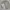 Polo Ralph Lauren Luxury Minimalist Sweatshirt Pria gray photo 2