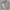 Polo Ralph Lauren Luxury Minimalist Sweatshirt Pria Gray