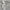 Polo Ralph Lauren Luxury Minimalist Sweatshirt Pria gray photo 1