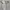 Polo Ralph Lauren Luxury Minimalist Sweatshirt Pria Gray
