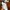 Sepatu Fred Perry Leather White Sneakers B6202  photo 1