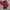 Nike 90 winbreaker 2tone color photo 1