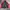 Nike 90 winbreaker 2tone color photo 3