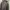 DENIM JACKET SEAN JOHN NOT FUBU,KARL KANI  photo 1