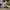 adidas samba og origianl ex 807 garage photo 4