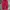 Asics twotone color trackpant photo 2