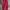 Asics Twotone Color Trackpant