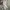 Nike swoosh paracute pant photo 1