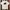 Hanes Vintage T-shirt Pria white photo 1