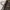 Louis Vuitton Luxury Tote bag Wanita brown photo 7