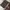 Louis Vuitton Luxury Tote bag Wanita brown photo 6