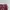 Vintage Burgundy Eel Skin Clutch photo 3