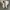 Nike Sportswear Sneakers Pria white cream photo 1