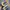Adidas Sportswear Sneakers Pria navy black photo 4