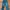 Biru Retro Jeans