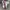 Nike Air Jordan Streetwear Y2K Sneakers Pria white gray photo 1