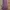 Cotton On Mauve Dress photo 1