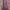 Cotton On Mauve Dress