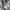 Nike Air Jordan Streetwear Y2K Sneakers Pria White Gray