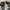 Chrome Hearts Streetwear Skater Hoody Pria white black photo 3